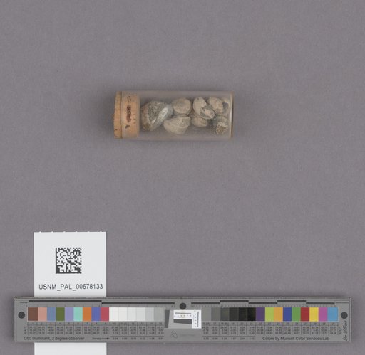 NSF ADBC EPICC TCN