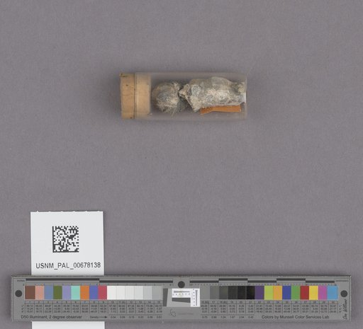 NSF ADBC EPICC TCN