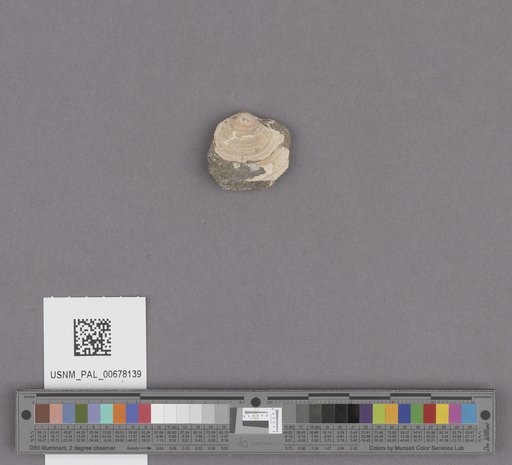 NSF ADBC EPICC TCN