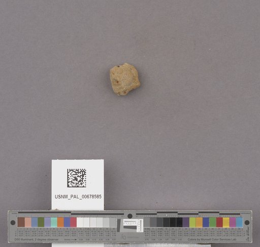 NSF ADBC EPICC TCN