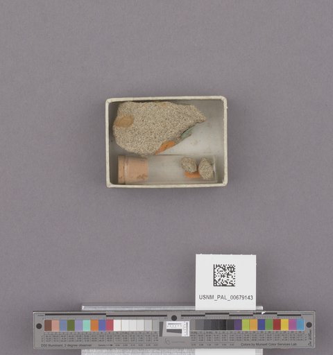 NSF ADBC EPICC TCN