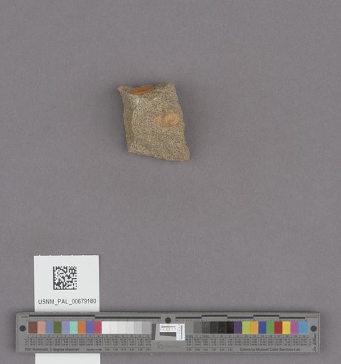 NSF ADBC EPICC TCN