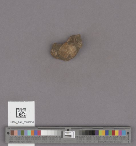 NSF ADBC EPICC TCN