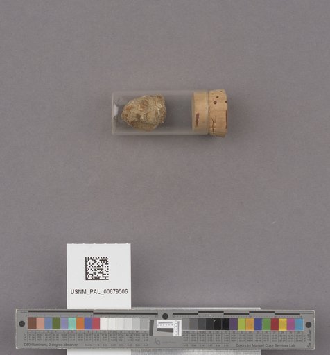 NSF ADBC EPICC TCN