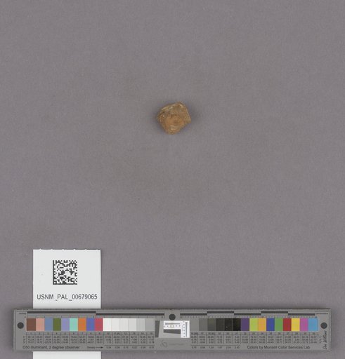 NSF ADBC EPICC TCN