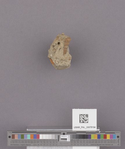 NSF ADBC EPICC TCN