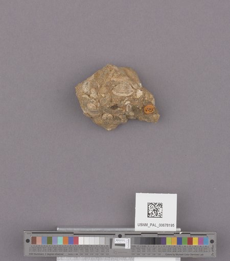 NSF ADBC EPICC TCN