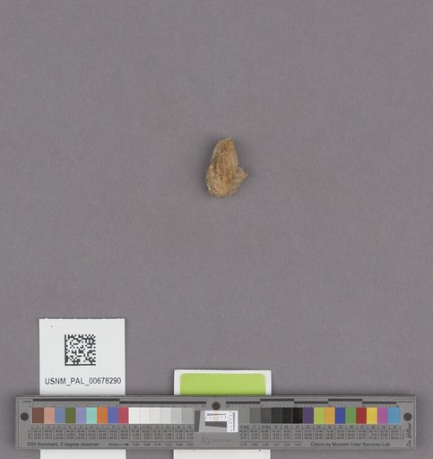 NSF ADBC EPICC TCN