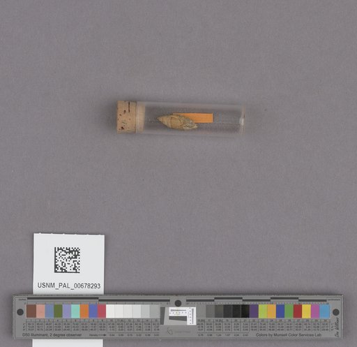 NSF ADBC EPICC TCN