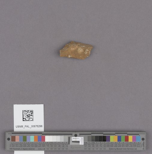 NSF ADBC EPICC TCN