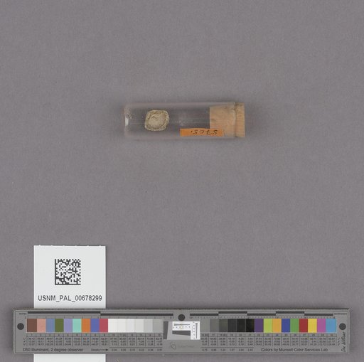 NSF ADBC EPICC TCN