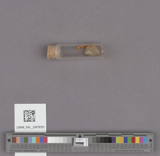 NSF ADBC EPICC TCN