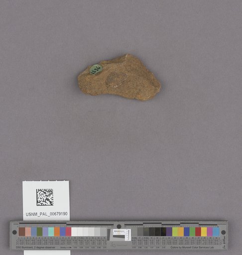 NSF ADBC EPICC TCN