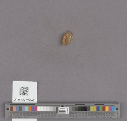 NSF ADBC EPICC TCN