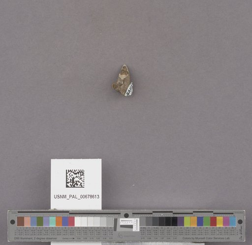 NSF ADBC EPICC TCN