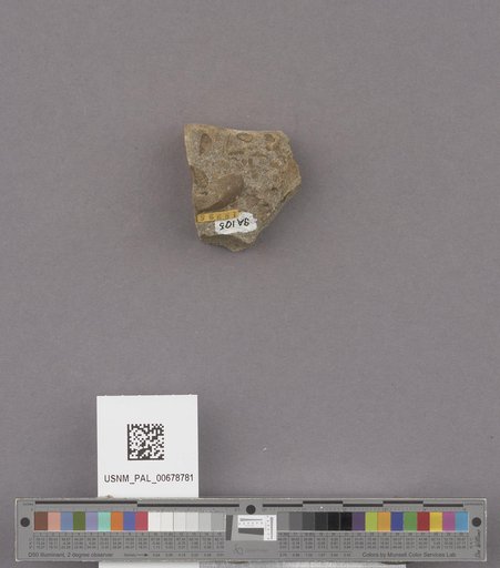 NSF ADBC EPICC TCN