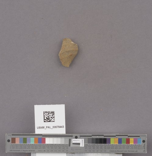 NSF ADBC EPICC TCN