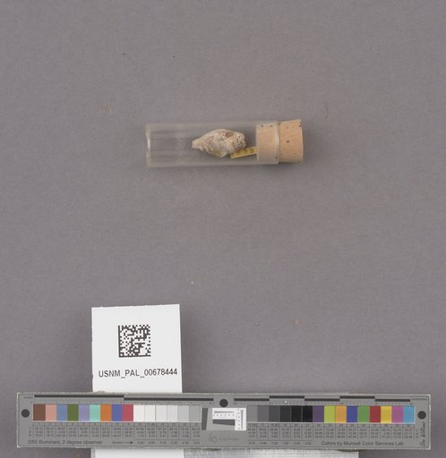 NSF ADBC EPICC TCN