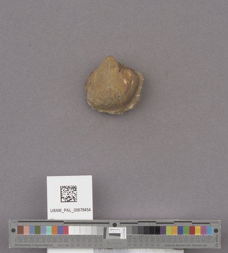 NSF ADBC EPICC TCN