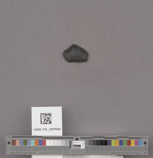 NSF ADBC EPICC TCN