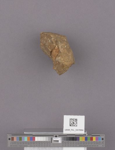 NSF ADBC EPICC TCN
