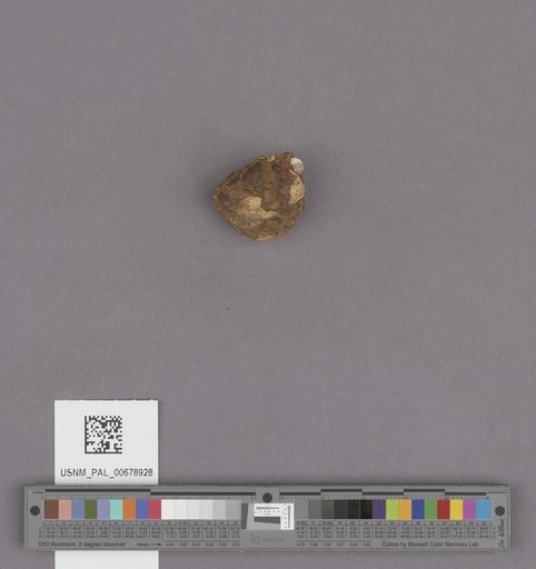 NSF ADBC EPICC TCN