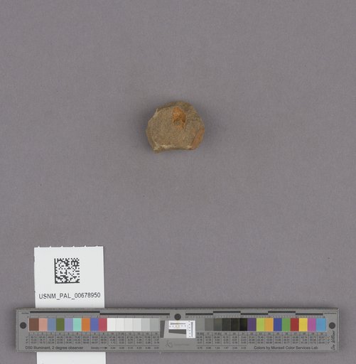NSF ADBC EPICC TCN