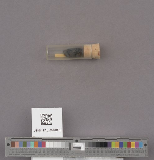NSF ADBC EPICC TCN