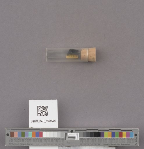 NSF ADBC EPICC TCN