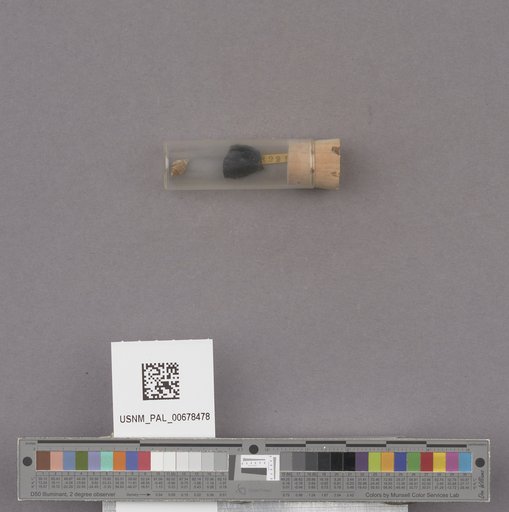 NSF ADBC EPICC TCN