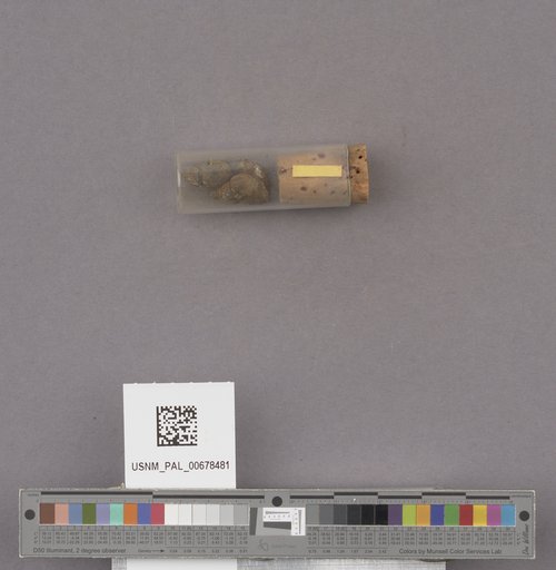NSF ADBC EPICC TCN