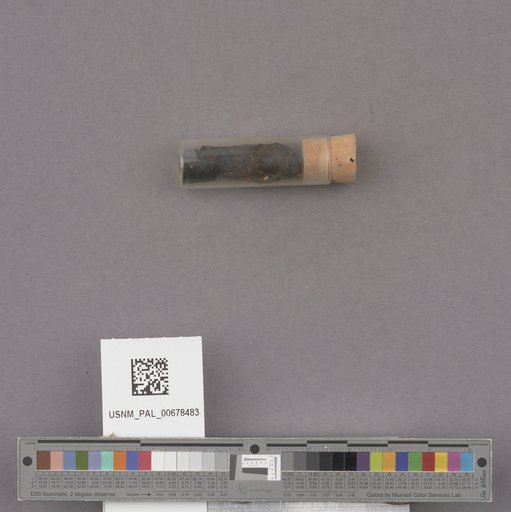 NSF ADBC EPICC TCN