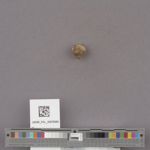 NSF ADBC EPICC TCN