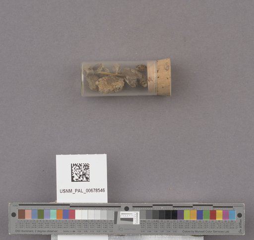 NSF ADBC EPICC TCN