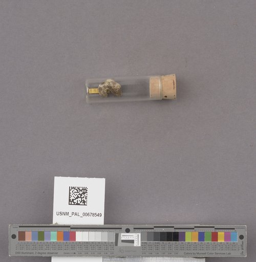 NSF ADBC EPICC TCN