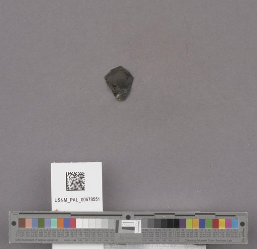 NSF ADBC EPICC TCN