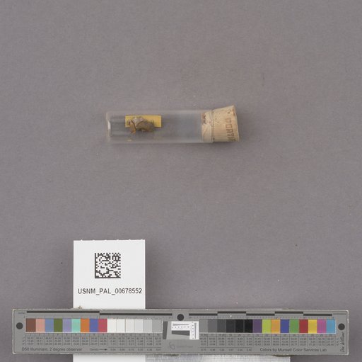 NSF ADBC EPICC TCN