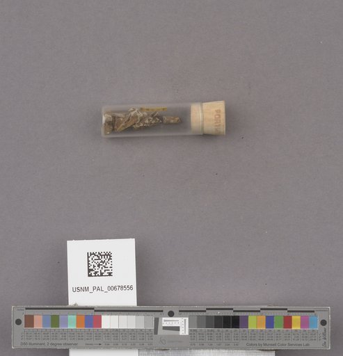 NSF ADBC EPICC TCN