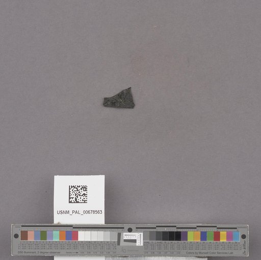 NSF ADBC EPICC TCN