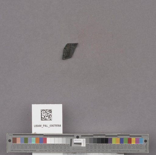 NSF ADBC EPICC TCN