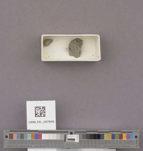 NSF ADBC EPICC TCN