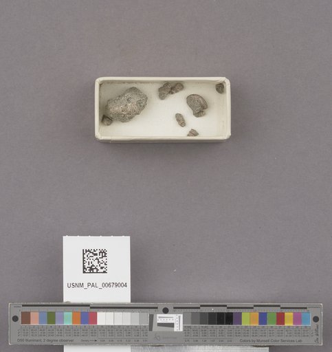 NSF ADBC EPICC TCN