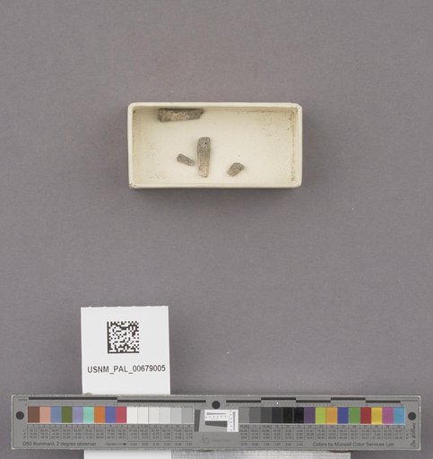 NSF ADBC EPICC TCN
