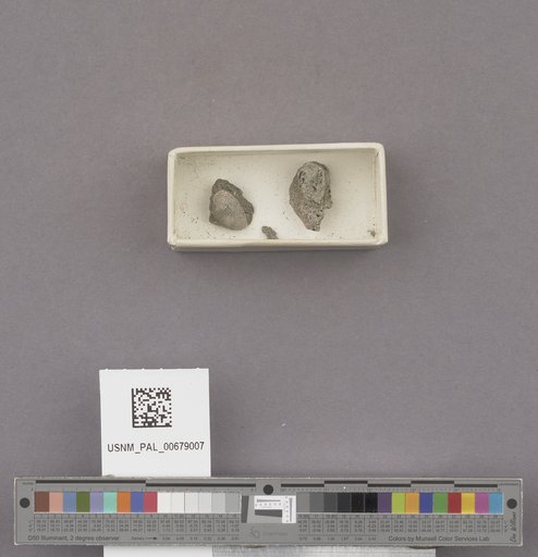 NSF ADBC EPICC TCN