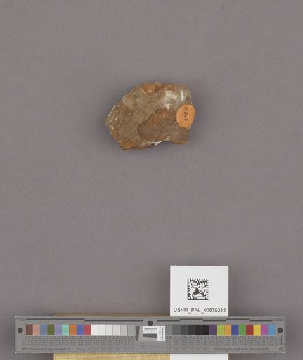 NSF ADBC EPICC TCN