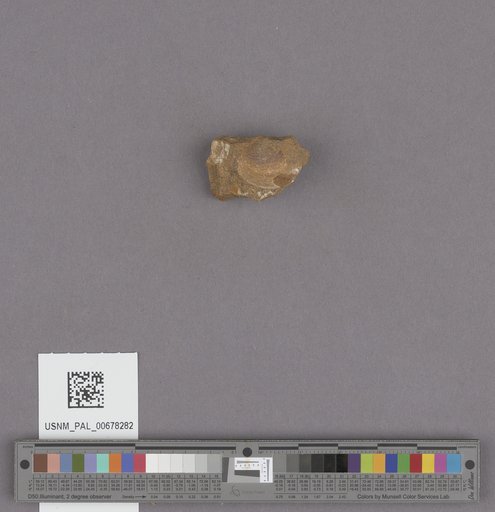 NSF ADBC EPICC TCN