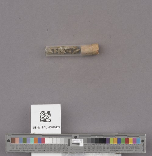 NSF ADBC EPICC TCN