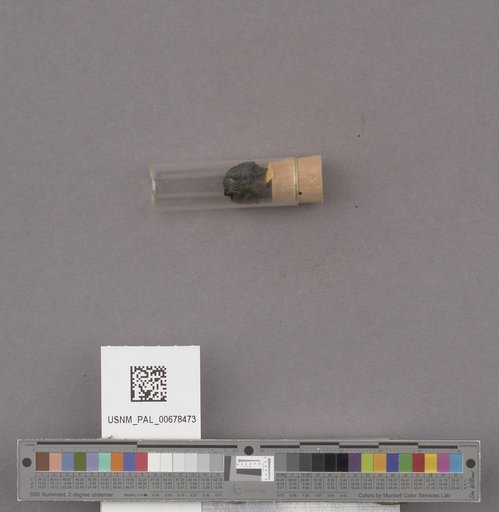 NSF ADBC EPICC TCN