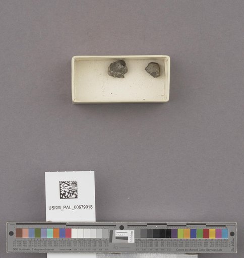 NSF ADBC EPICC TCN