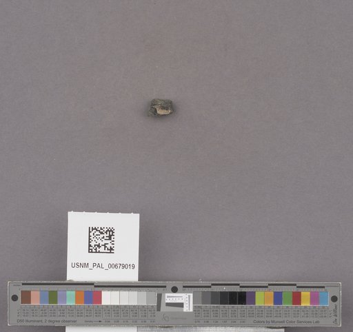 NSF ADBC EPICC TCN